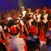 Närrische Hitparade (25.01.08)